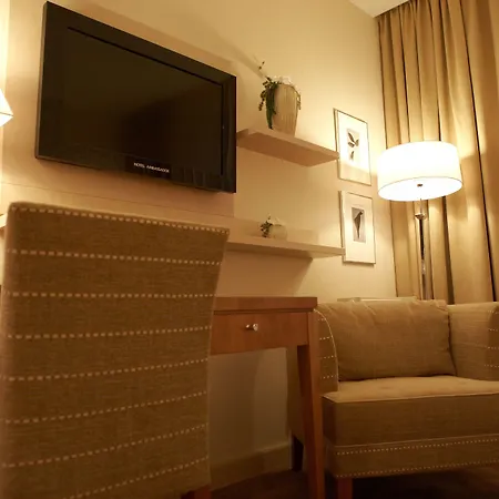 Ambassador מלון 4*