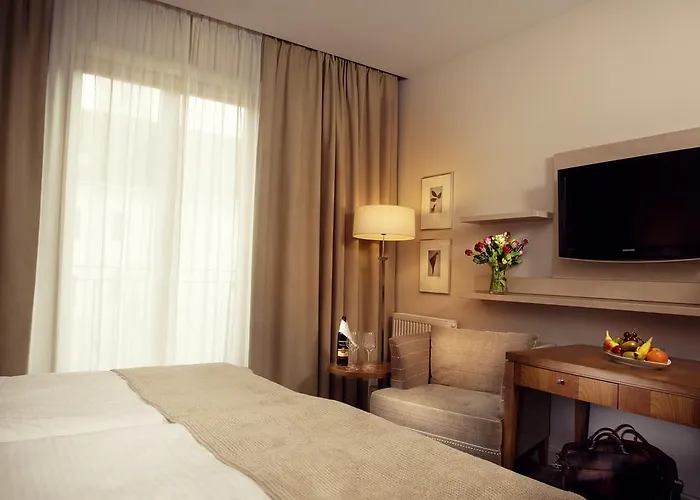 Ambassador קושיצה